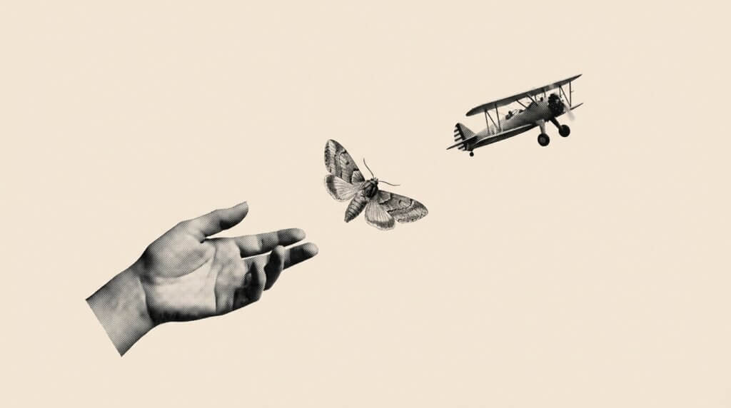 The Katamari Principle or the Problem with Problem-Solving 3 Hand reaching toward butterfly with vintage biplane flying overhead in artistic illustration.